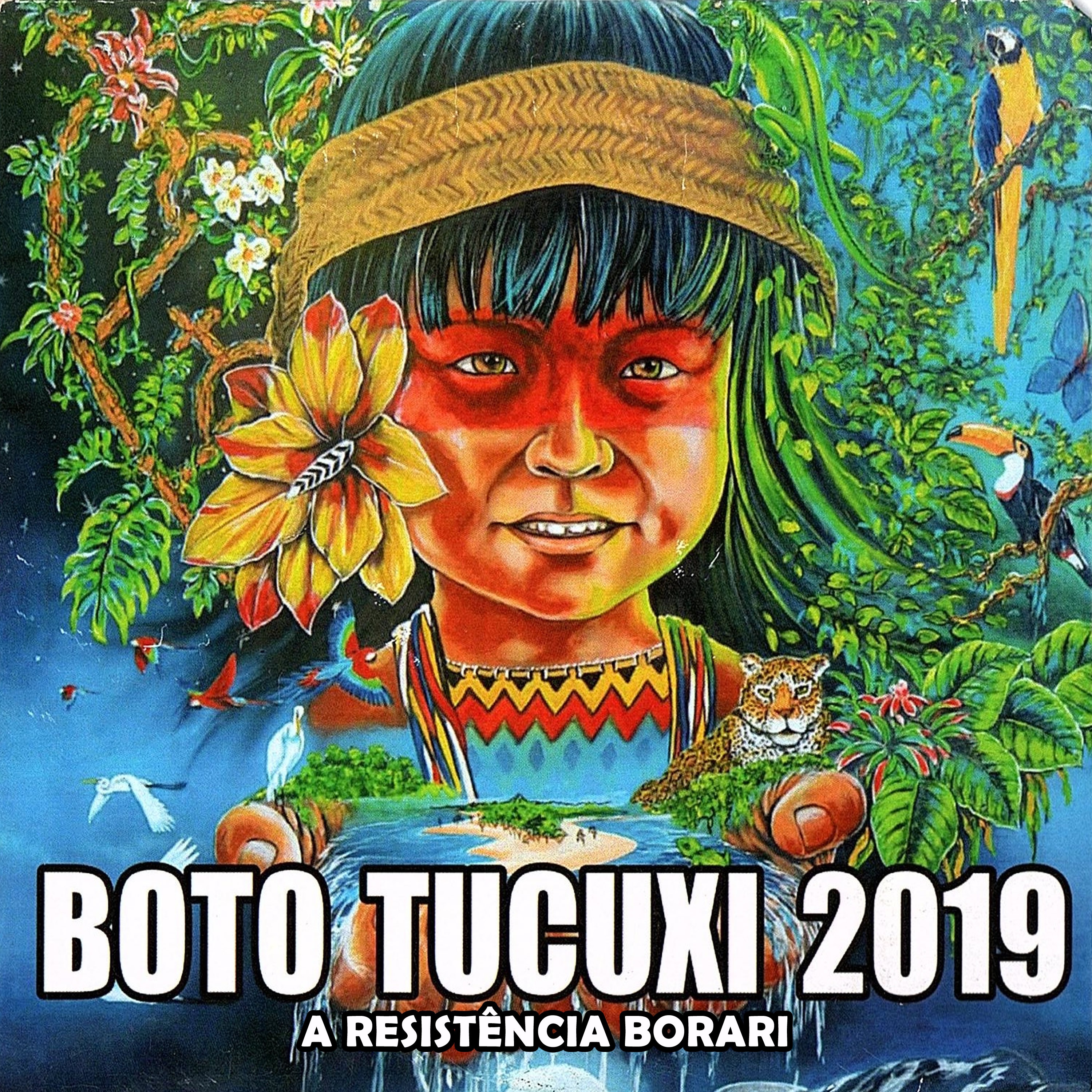 A Resistência Borari