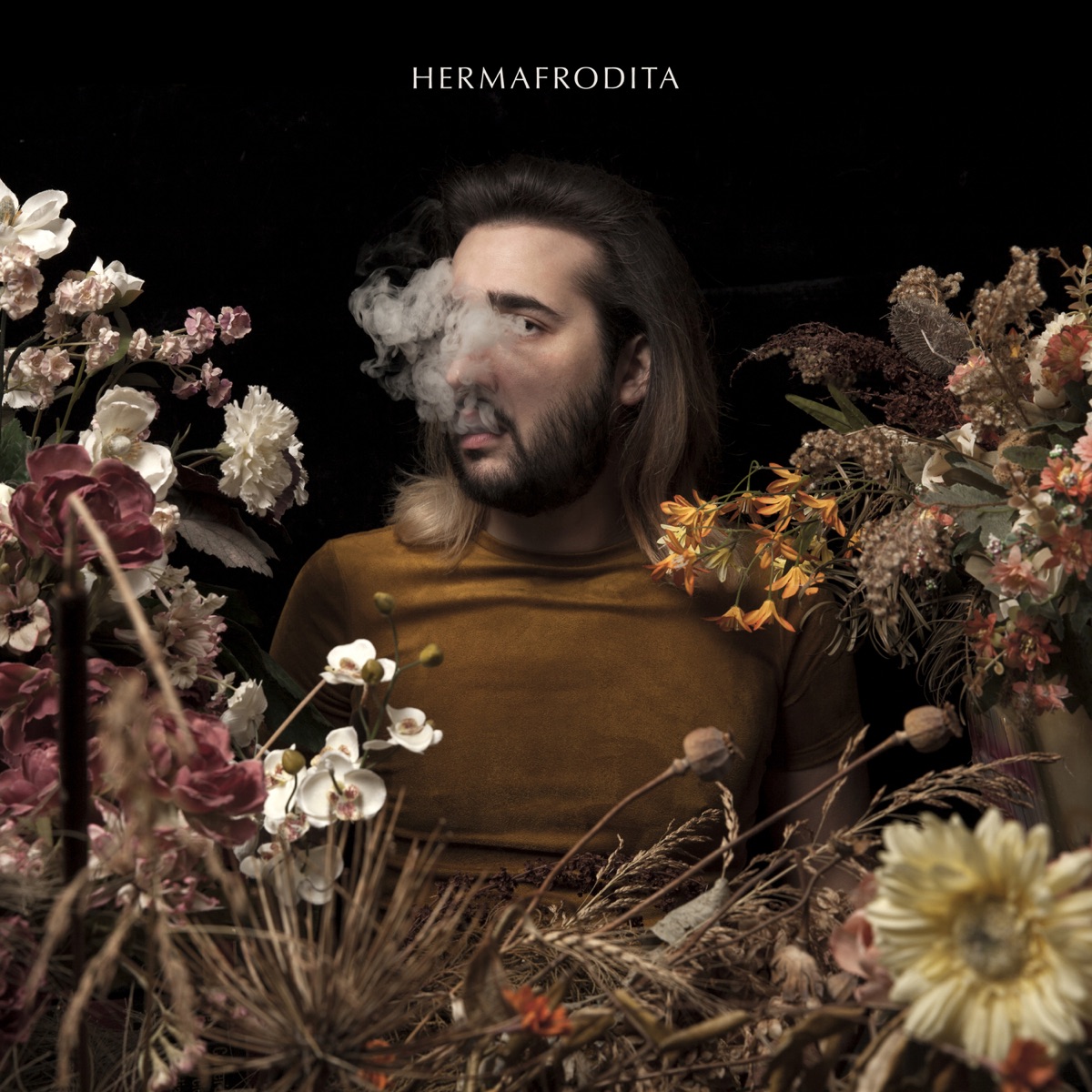 hemafrodit Hermafrodita - Album by Francisca Y Los Exploradores - Apple Music