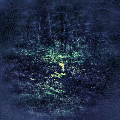 Pot of Frogs - Single