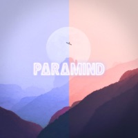 Satellites - Single - Paramind