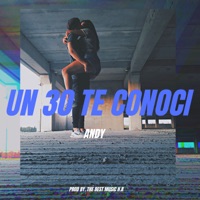 Un 30 Te Conocí - Single - Andy