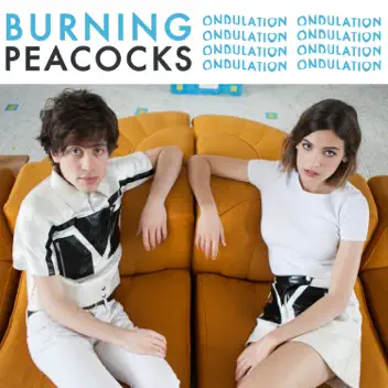 Ondulation album cover