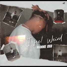 So Many Reasons (feat. INFINITE) Mannie G1GB