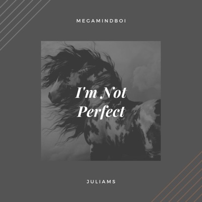 I'm Not Perfect (feat. Juliams) - Single