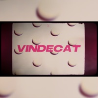 Vindecat - Single - Aspy