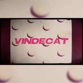 Vindecat Aspy