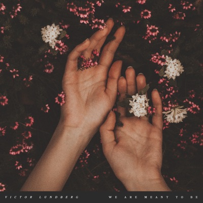 We Are Meant to Be (feat. Cody Francis) - Single