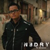 Alex Nedry - Vives en Mi