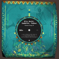 Shaman Songs - Bliz Nochi, Padouc & Joe Carl