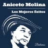 Fiesta Cumbiambera cover art