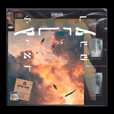 Aria (feat. Rafe) - Single