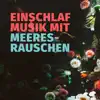 MEER