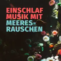 Meer