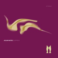 Suppose - Julian Nates