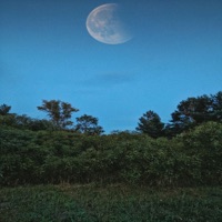 UPRISING (Demo) - Single - Menino Nei