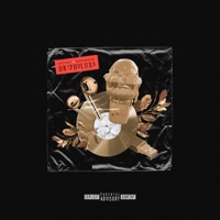 DR!PD3LUX3 - Pot3nt & Dopebwoi