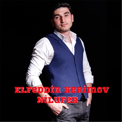 Elfeddin Kerimov - Novruz