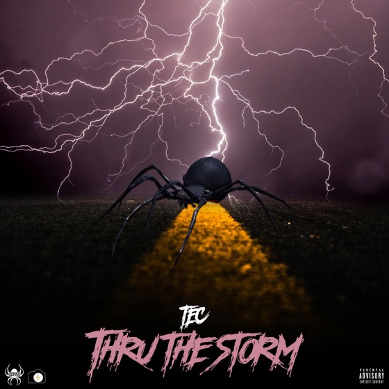 Cover artwork for Thru the Storm
