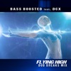 Flying High (feat. DCX) [Dub Breaks Mix] - Single