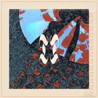 okokokokokokok - Tjuvjakt