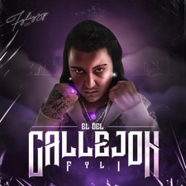 No pueden (feat. E*Star) Fyli