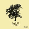 Zaino Overo