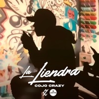 La Liendra - Single - Cojo Crazy