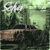 Selva - EP artwork