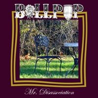 Mr. Disassociation - Single - Bullpup