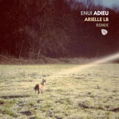 Adieu (Arielle LB Remix) artwork