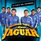 La Chica del Facebook - Fernando Tlapale Y Su Grupo Jaguar lyrics