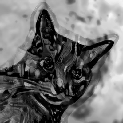 Gata - Single