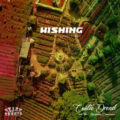 Wishing - Single