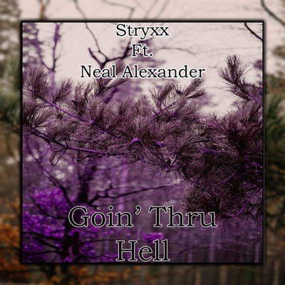 Goin' Thru Hell (feat. Neal Alexander) - Single