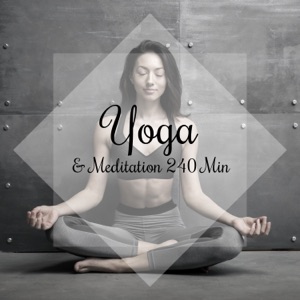 Yoga & Meditation 240 Min: Mindfulness Meditation Spa, Spiritual Reflections, Find Your Inner Peace, Stress Relief & Clear Your Mind, Connect with Zen Energy