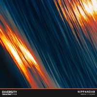 Break It Down - Single - Nippandab