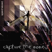 Capture The Moment artwork