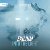 Into the Light (Extended Mix) artwork