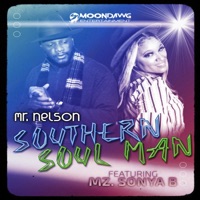 Southern Soul Man Extended Version (Extended) - Single - Mr Nelson