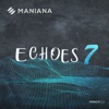 Echoes 7, 2020