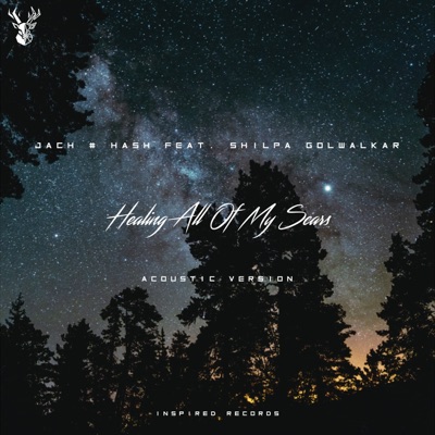 Healing All of My Scars (Acoustic Version) [feat. Shilpa Golwalkar] - Single