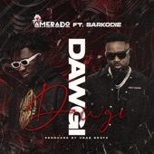 Dawgi (feat. Sarkodie) artwork