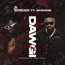 Dawgi (feat. Sarkodie) Amerado