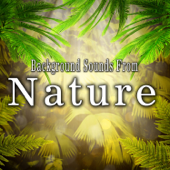 Background Sounds from Nature - The Hollywood Edge Sound Effects Library