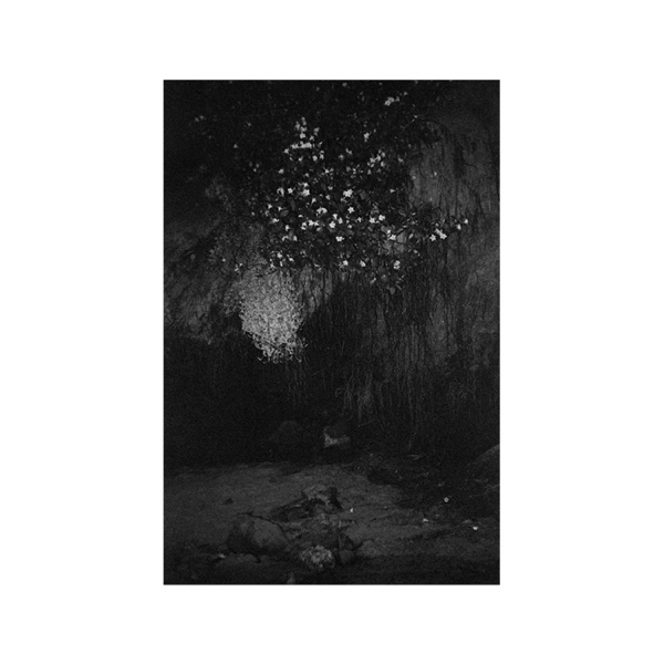 Glass - EP