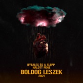 Boldog leszek (feat. Halott Pénz) artwork