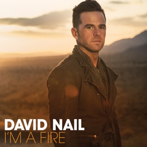 David Nail - Galveston (feat. Lee Ann Womack) - Line Dance Choreographer