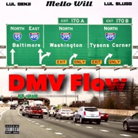 DMV Flow - Single - Mello Will