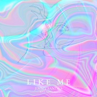Like Me (feat. Soul Santoro) - Single - Jimmy Sandra