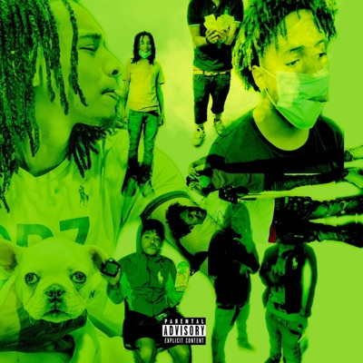 Scams and Milligrams - Single